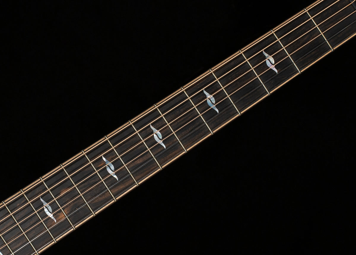 Taylor Next Generation Builder's Edition 814ce Honduran Rosewood/Sinker Redwood (083)