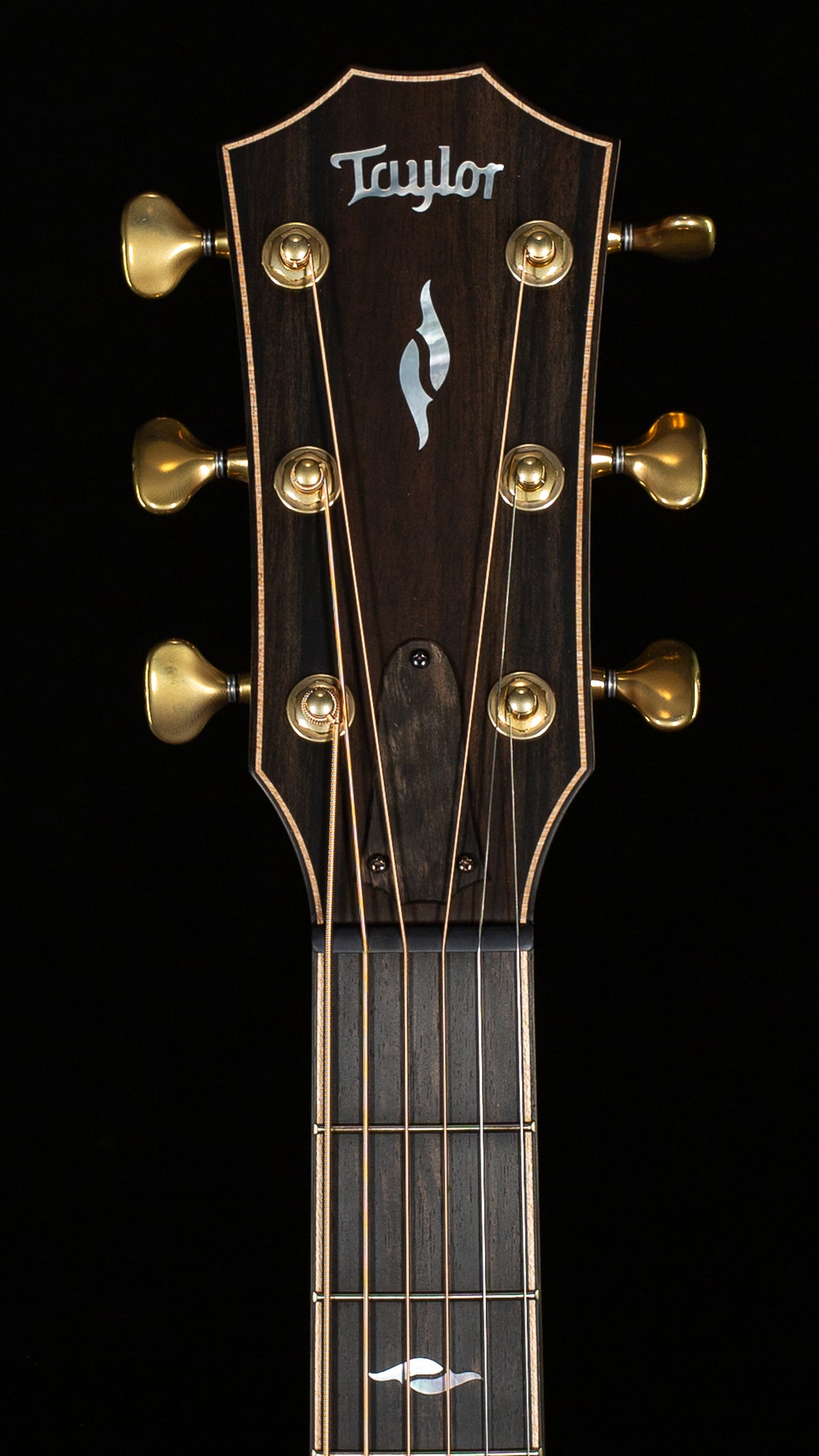 Taylor Next Generation Builder's Edition 814ce Honduran Rosewood/Sinker Redwood (083)