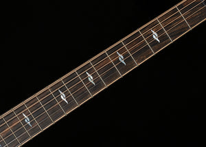 Taylor Next Generation Builder's Edition 814ce Indian Rosewood/Adirondack Spruce Blacktop (055)