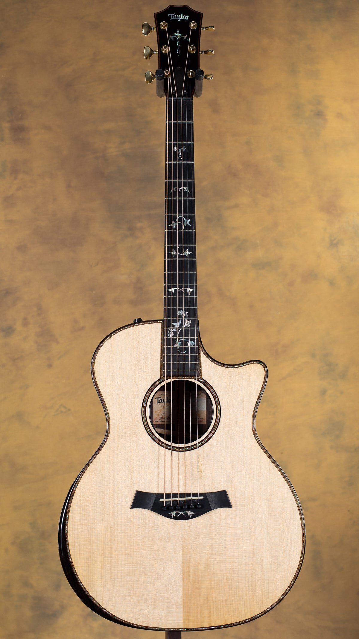 2023 Taylor 914ce Special Edition Rosewood/Sitka Cindy Inlay