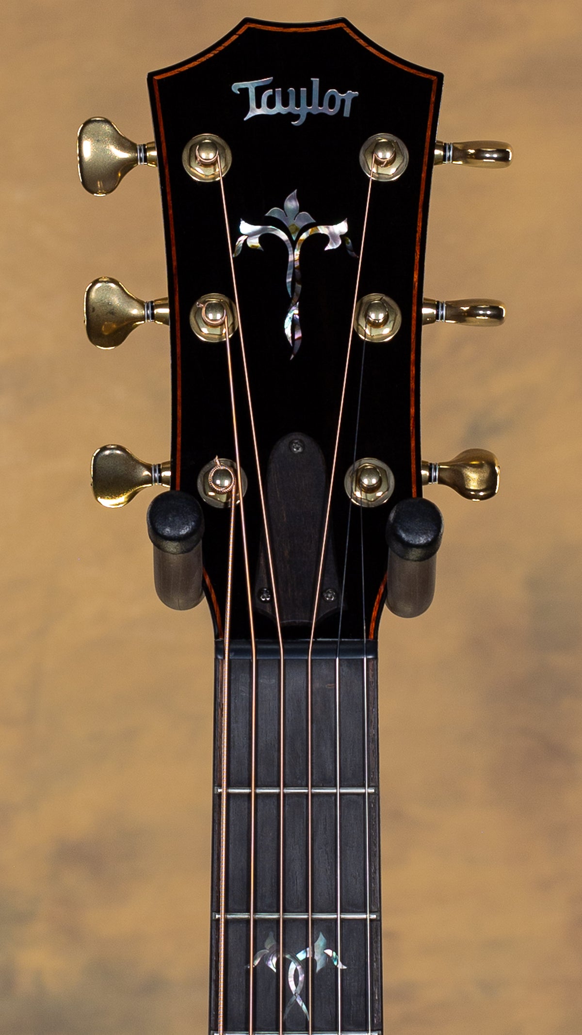 2023 Taylor 914ce Special Edition Rosewood/Sitka Cindy Inlay