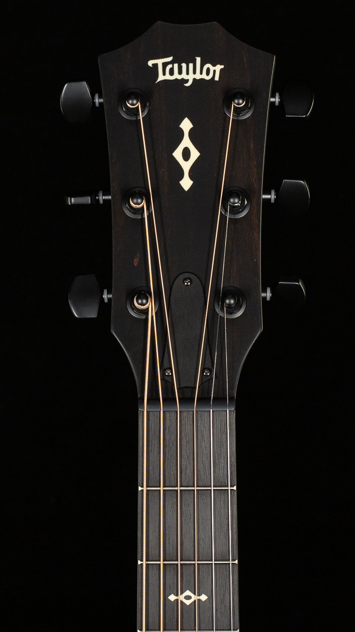 Taylor Next Generation Builder's Edition 324ce (056)