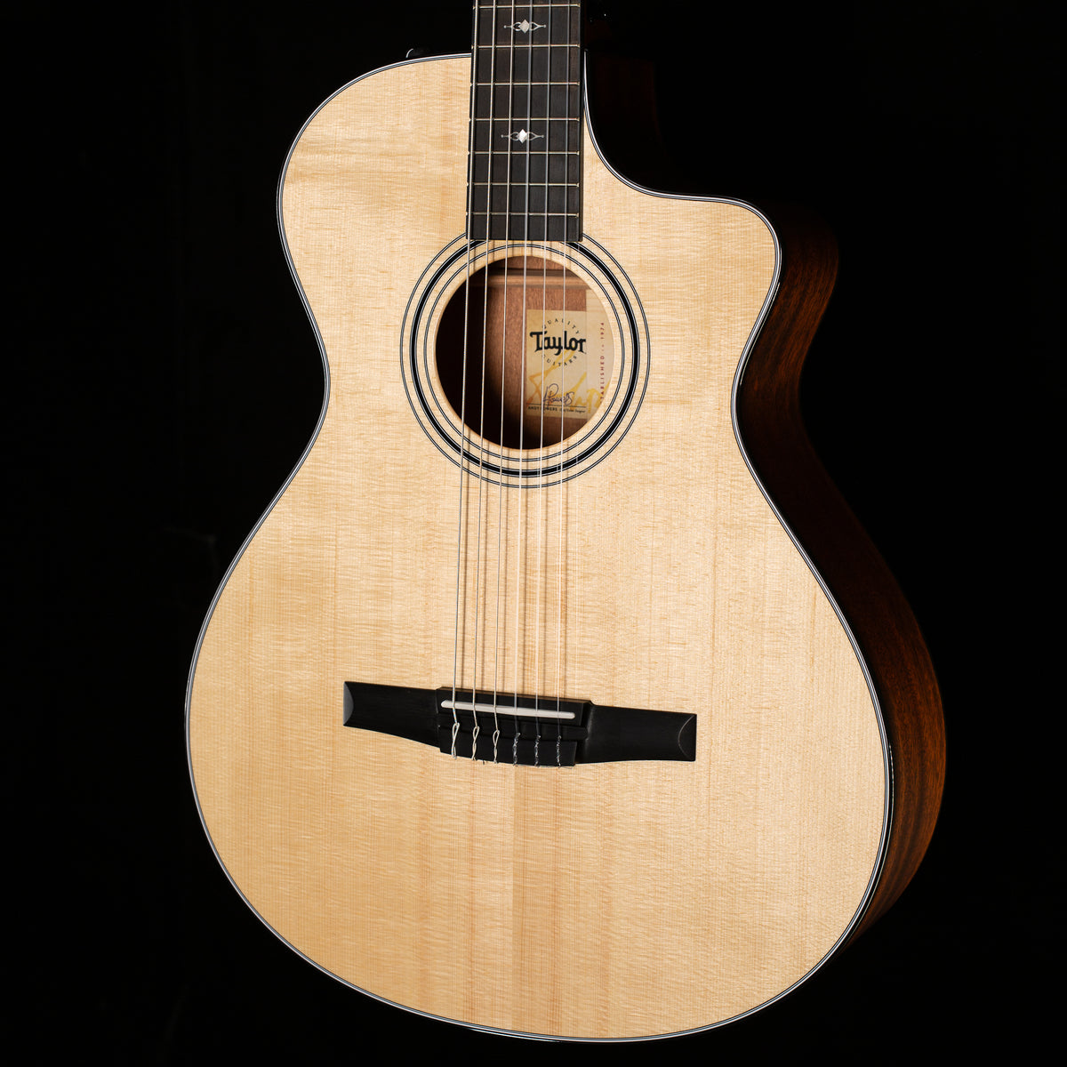 Taylor 312ce-N Sapele/Spruce (038)