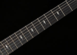 Taylor 312ce-N Sapele/Spruce (038)