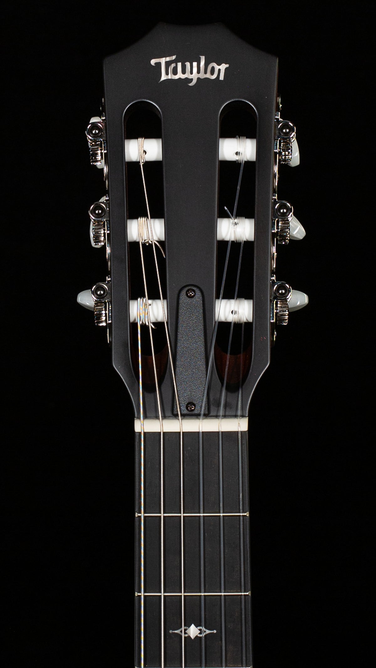 Taylor 312ce-N Sapele/Spruce (038)
