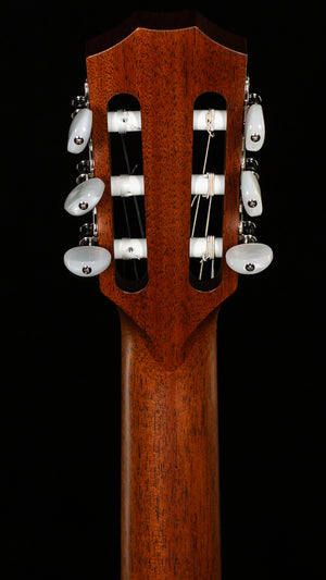 Taylor 312ce-N Sapele/Spruce (038)