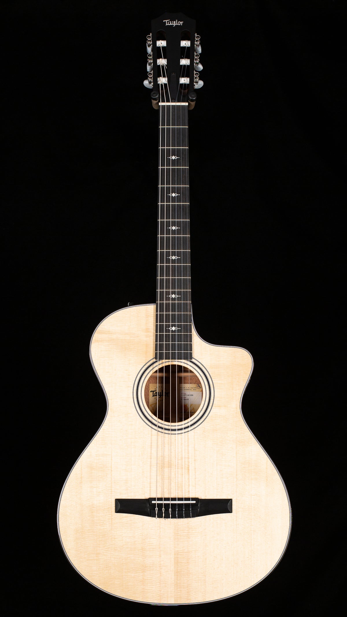 Taylor 312ce-N Sapele/Spruce (038)