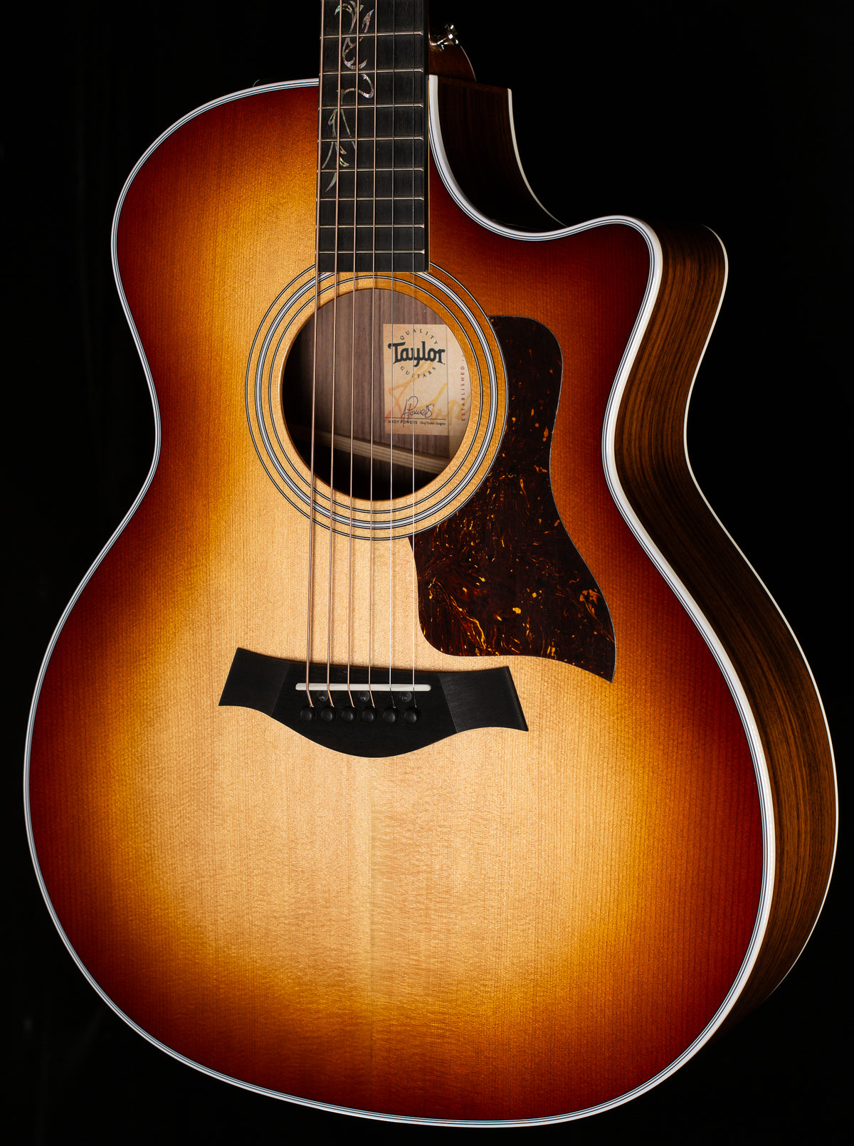 Taylor 414ce Rosewood Ltd Shaded Edge Burst Lily/Vine Inlay (011)