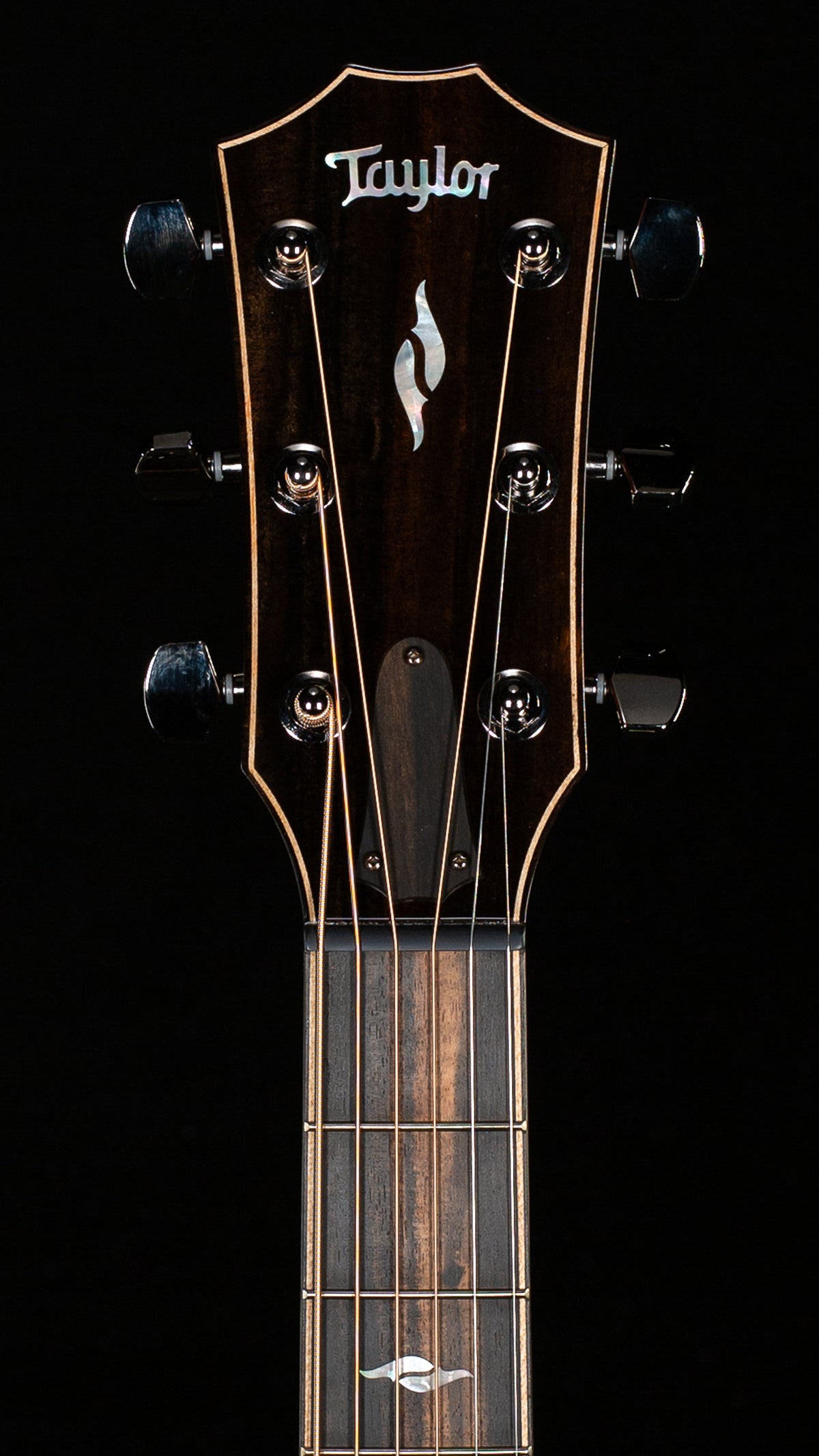 Taylor Next Generation 814ce (055)
