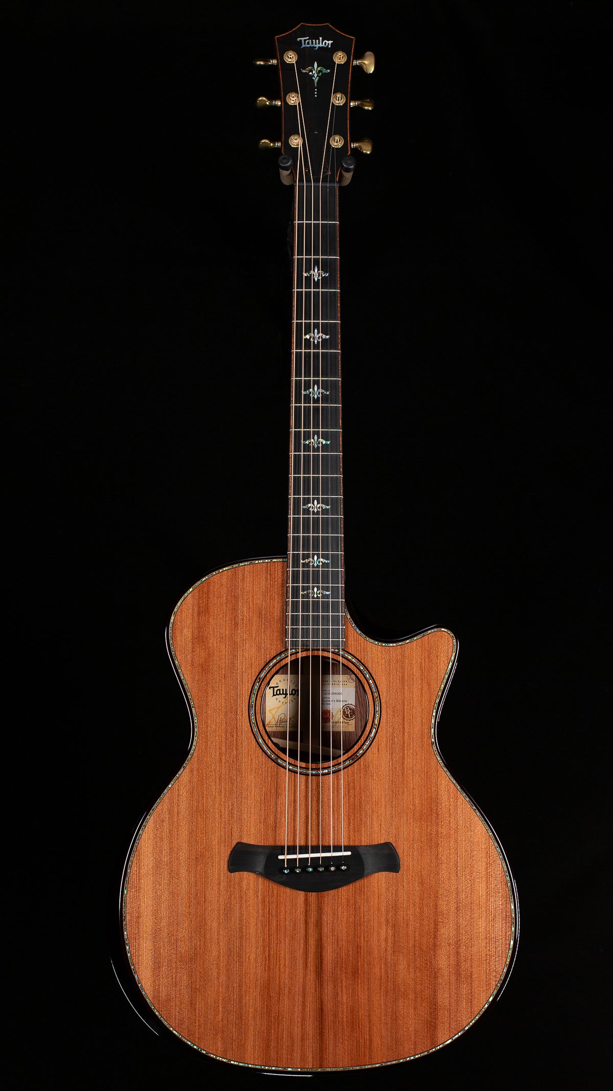 Taylor Next Generation Builder's Edition 914ce Honduran Rosewood/Redwood (056)