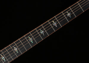 Taylor Next Generation Builder's Edition 914ce Honduran Rosewood/Redwood (056)