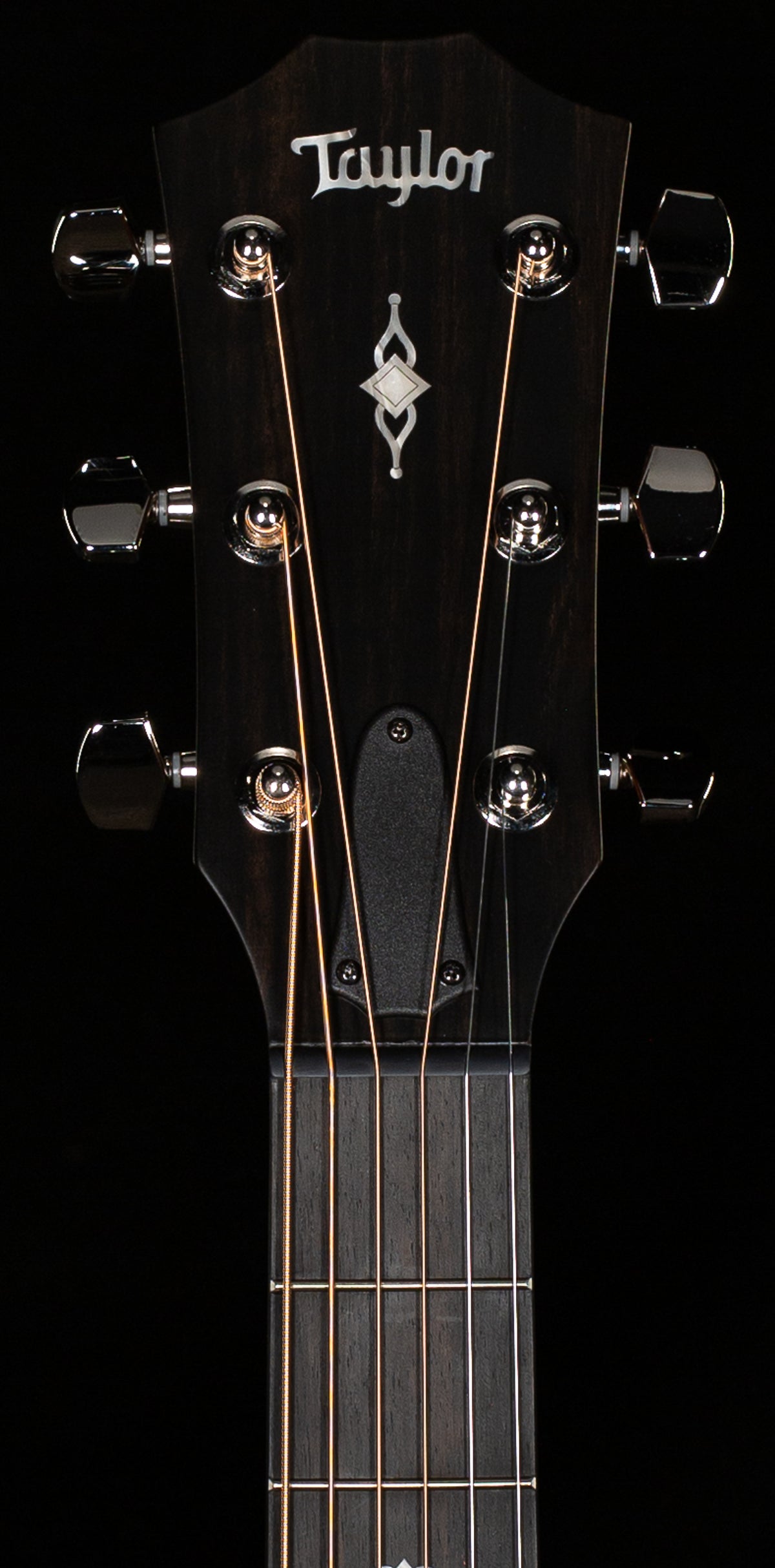 Taylor 314CE Special Edition Rosewood/Sitka Spruce (083)