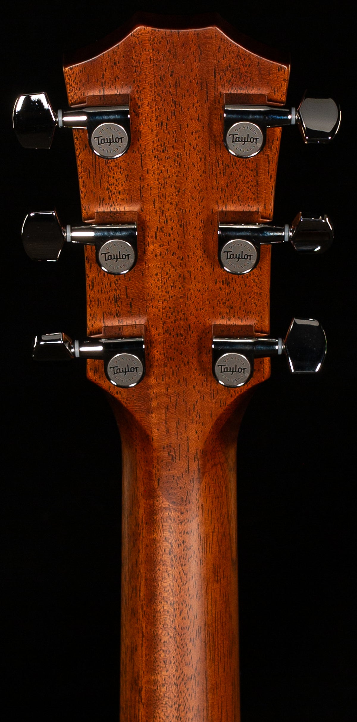 Taylor 314CE Special Edition Rosewood/Sitka Spruce (083)