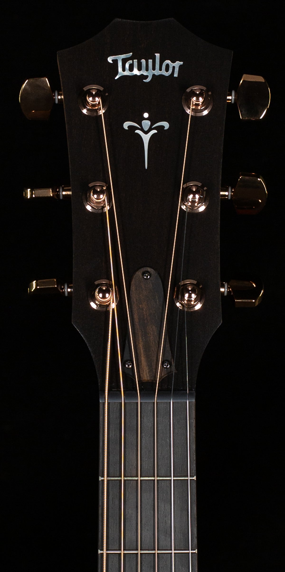 Taylor 724ce Koa Grand Auditorium(017)
