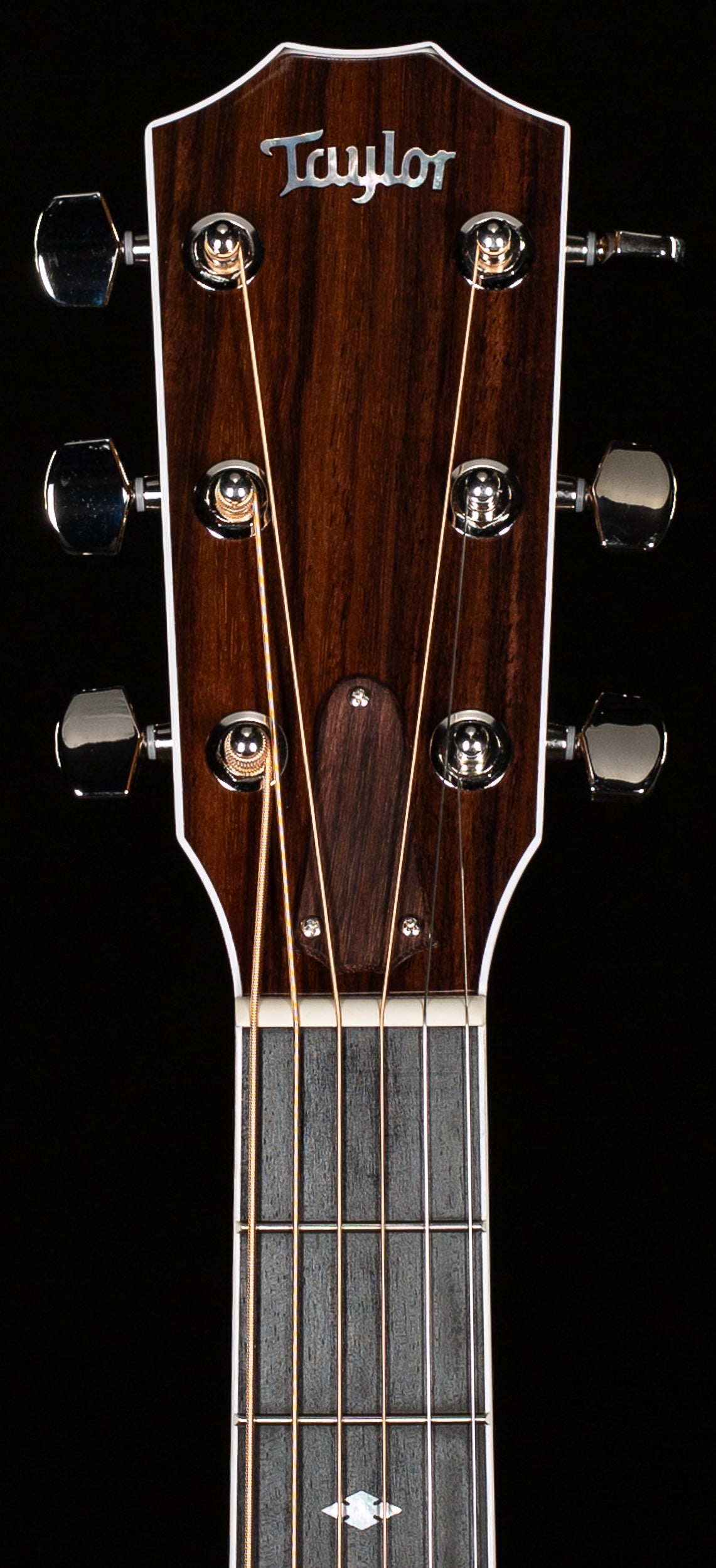 Taylor Legacy 810e Indian Rosewood/Sitka (098)