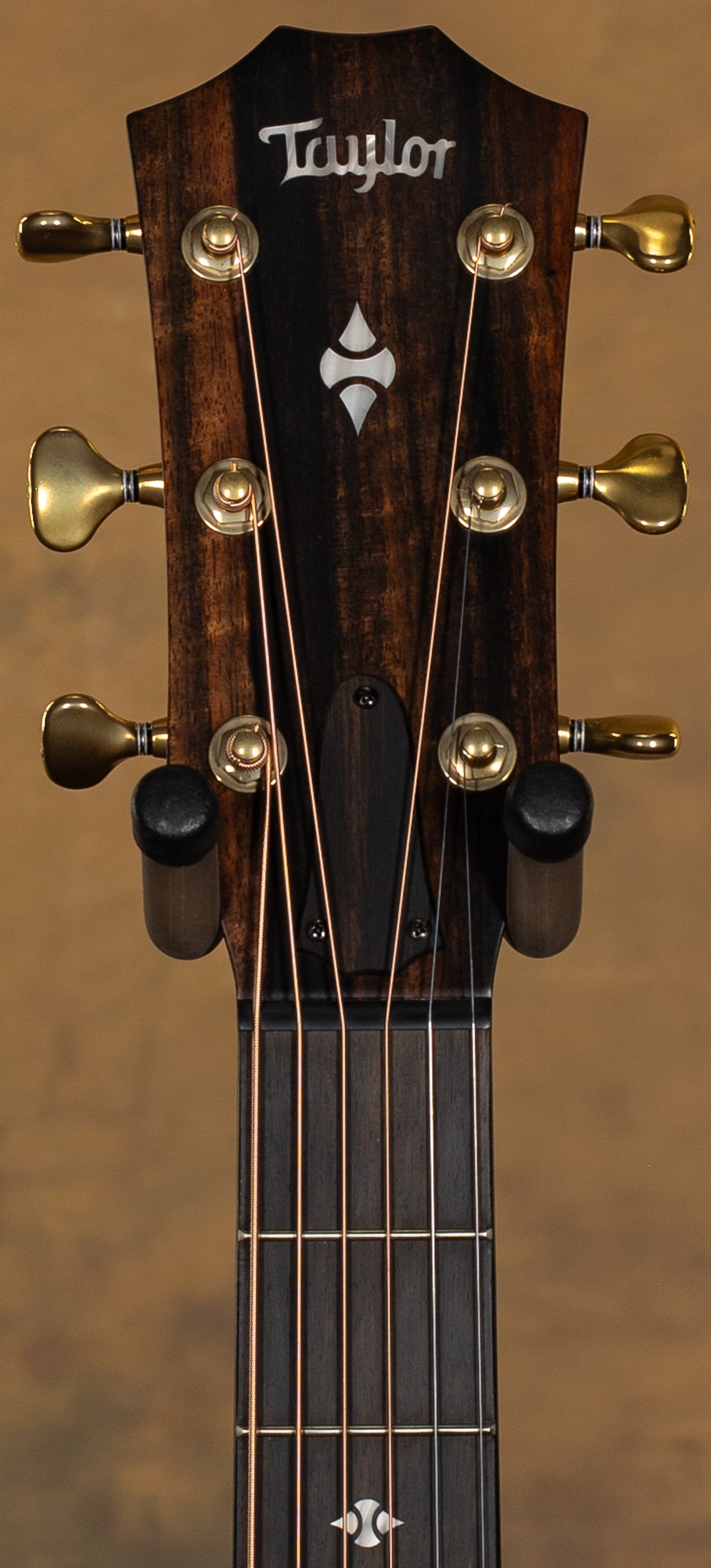 2022 Taylor Builders Edition 324ce