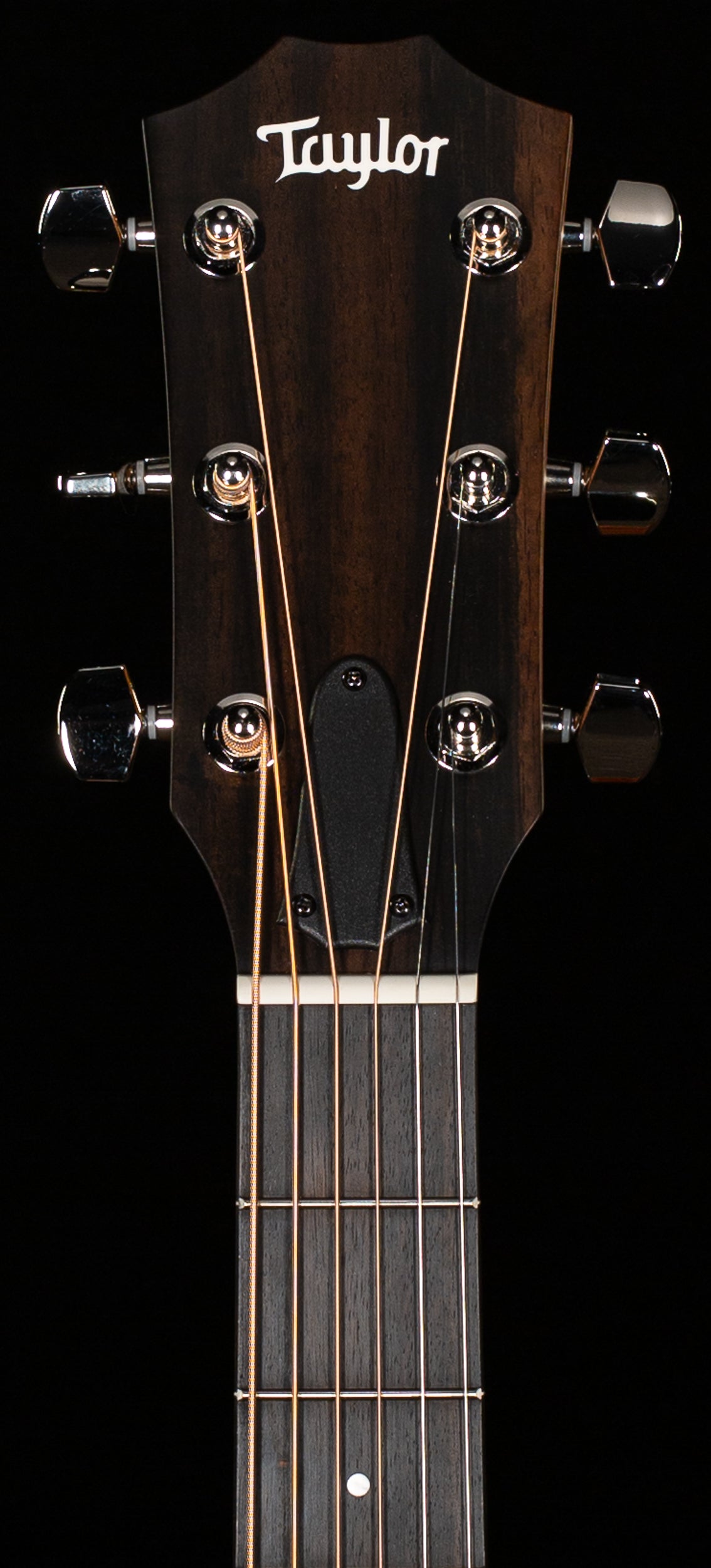 Taylor 314ce Studio Special Edition Sapele/Sitka (034)