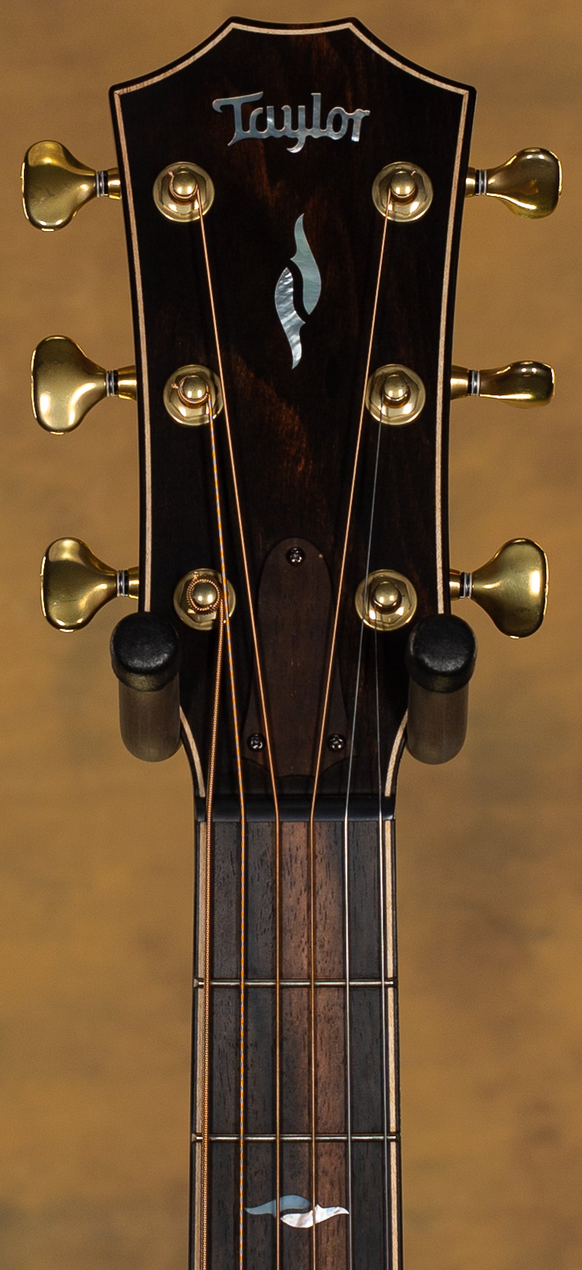 2023 Taylor 814ce Builders Edition