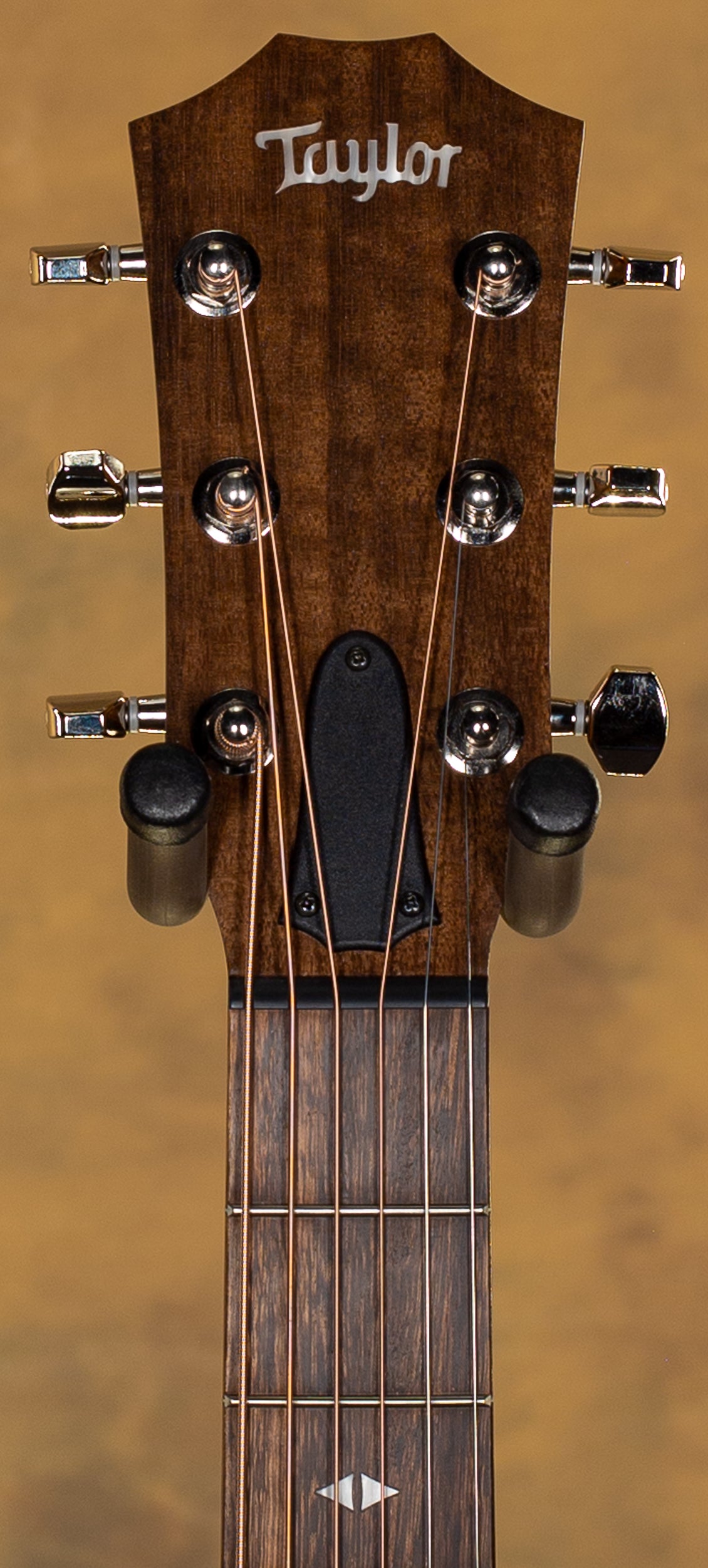 2020 Taylor GTe Grand Theater Urban Ash