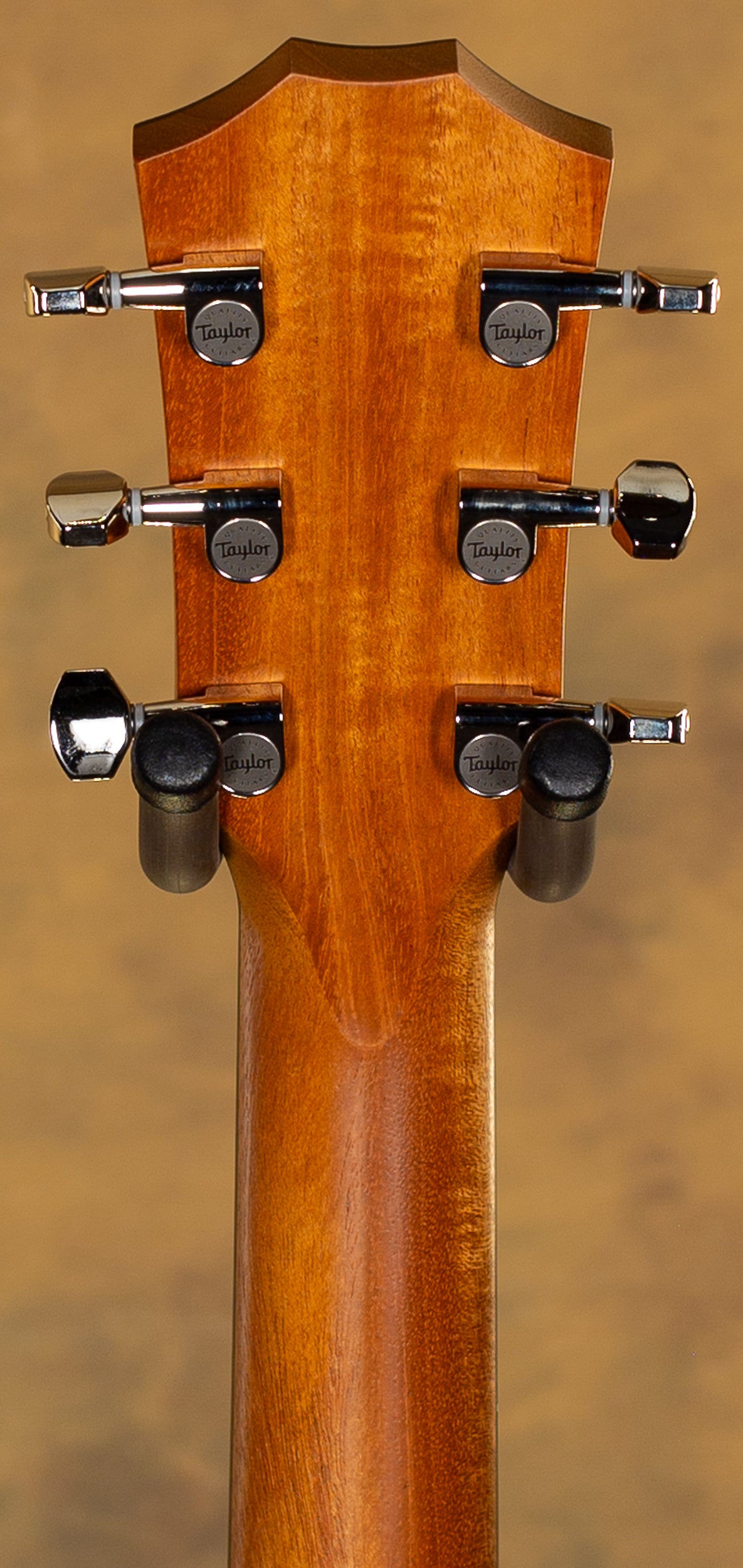 2020 Taylor GTe Grand Theater Urban Ash