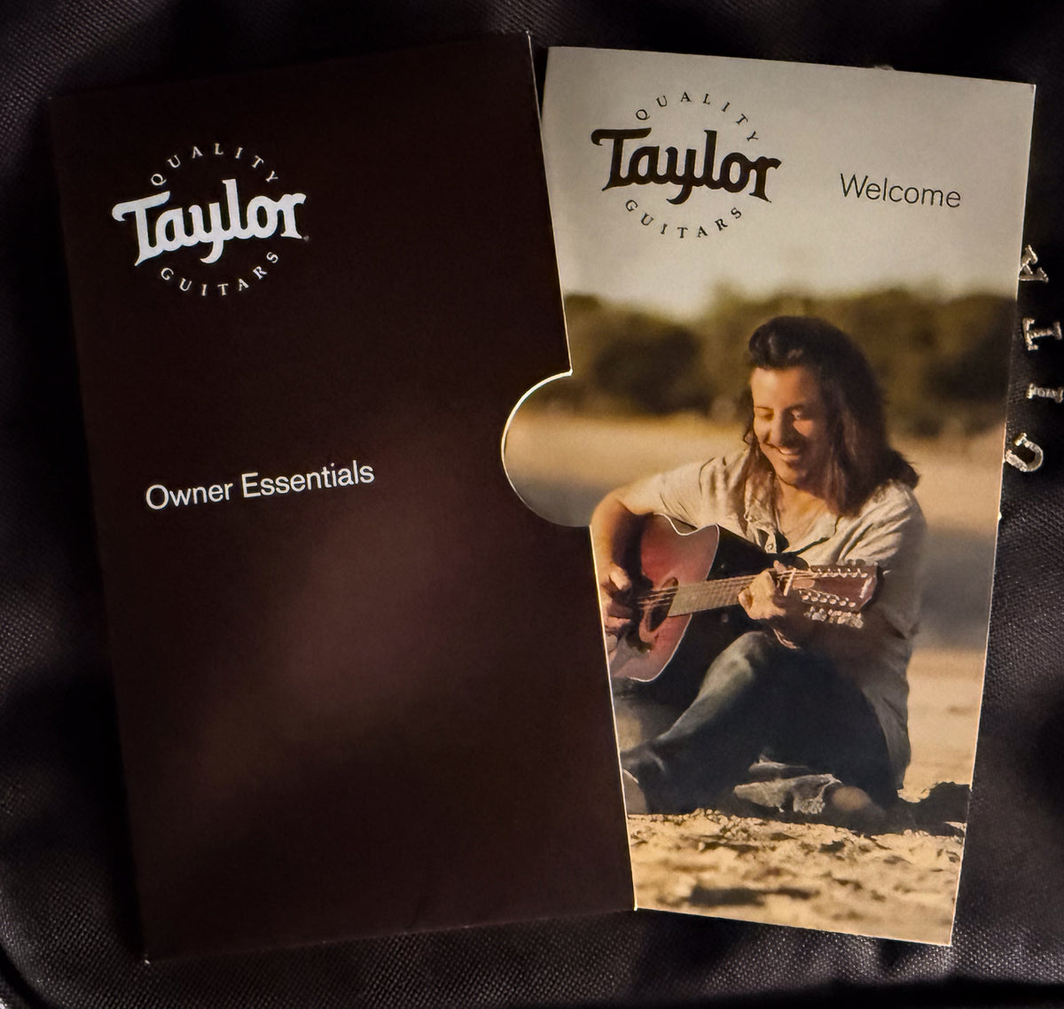 2020 Taylor GTe Grand Theater Urban Ash