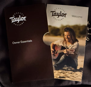 2020 Taylor GTe Grand Theater Urban Ash