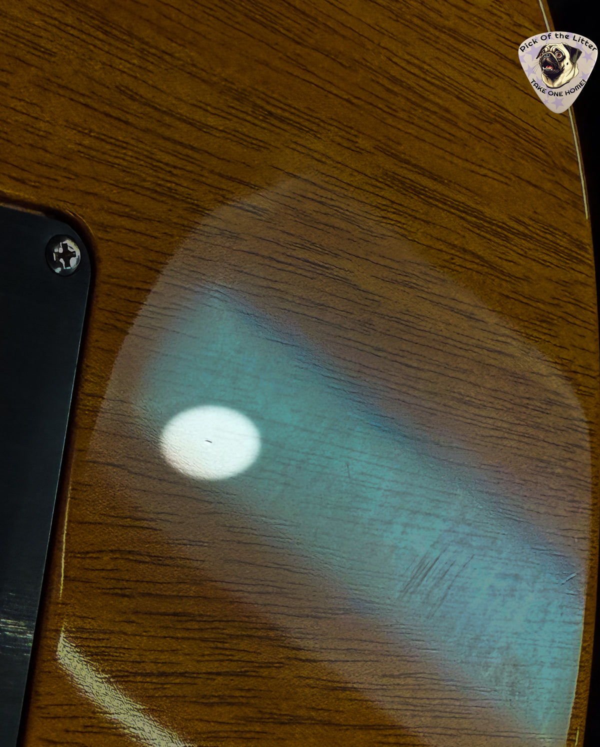 2008 PRS 513 10 Top Vintage Natural