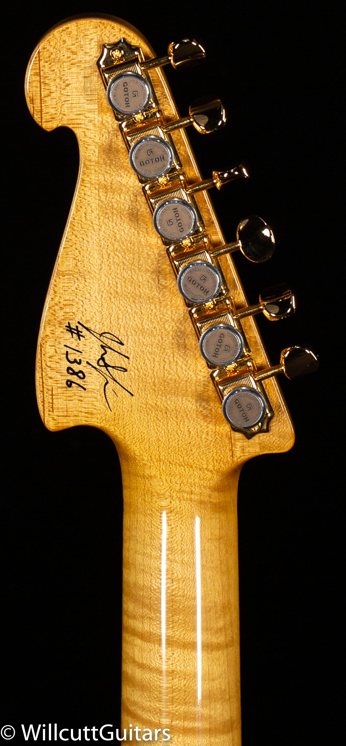 Knaggs Chesapeake Severn Trem FB3 Black-Eyed Susan (386)