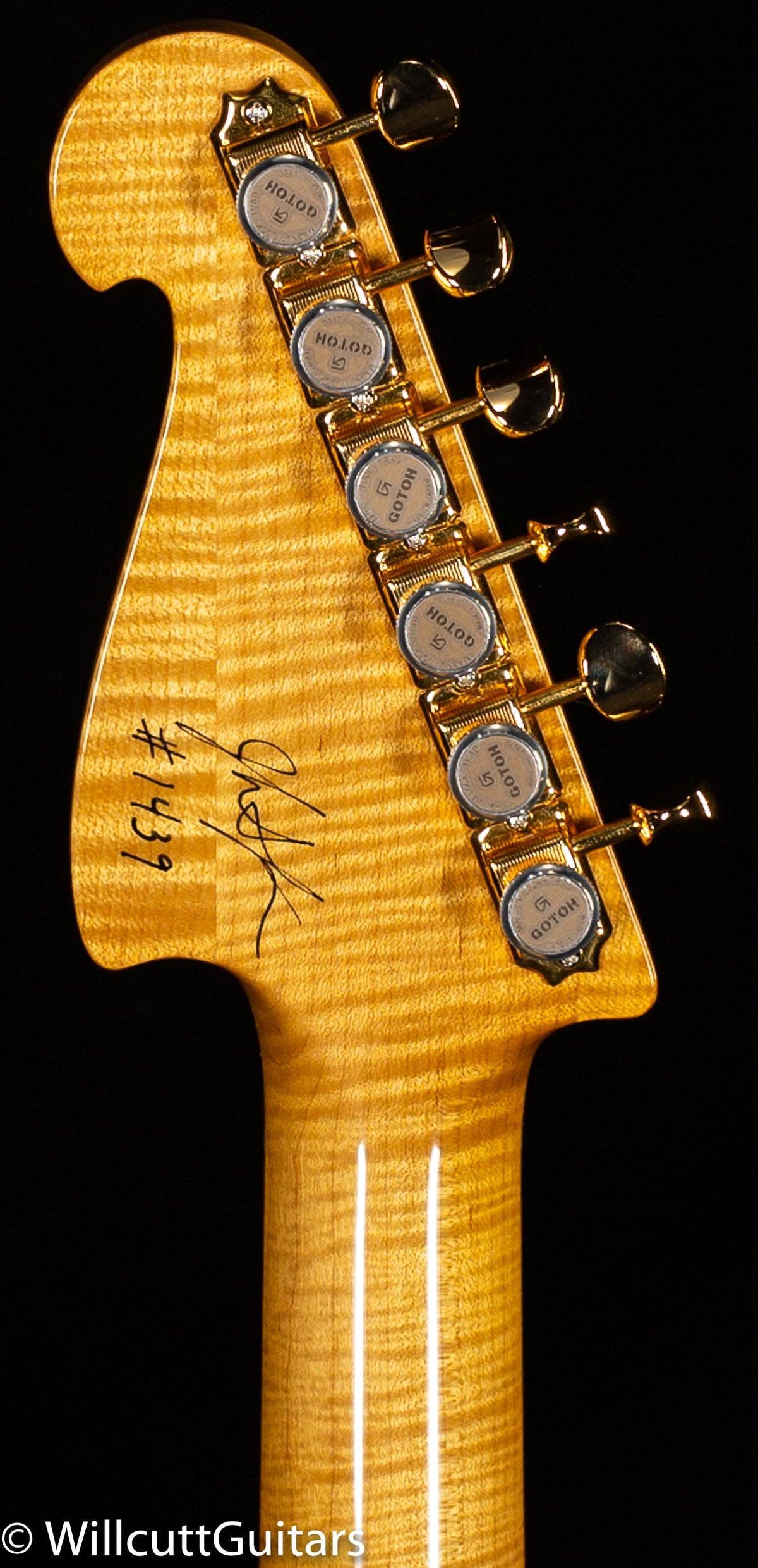 Knaggs Chesapeake Severn Trembuck HSH SunriseBurst Tier 1 (439)