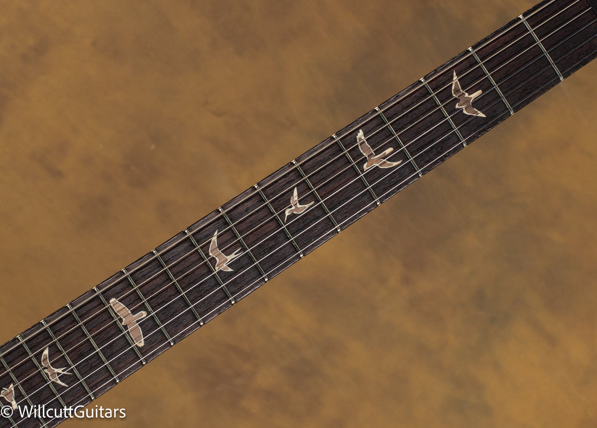 2011 PRS Tremonti Evergreen Quilt 10 Top