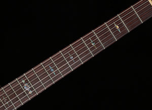 Scott Walker Guitars Katana Solid Rosewood (813)