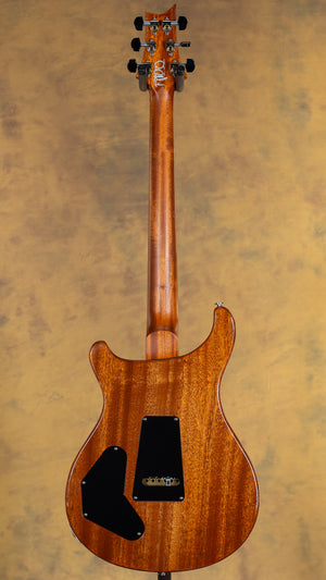 2012 PRS DGT Custom Color Blue Green Fade 10 Top Birds