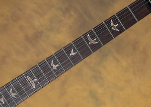 2012 PRS DGT Custom Color Blue Green Fade 10 Top Birds