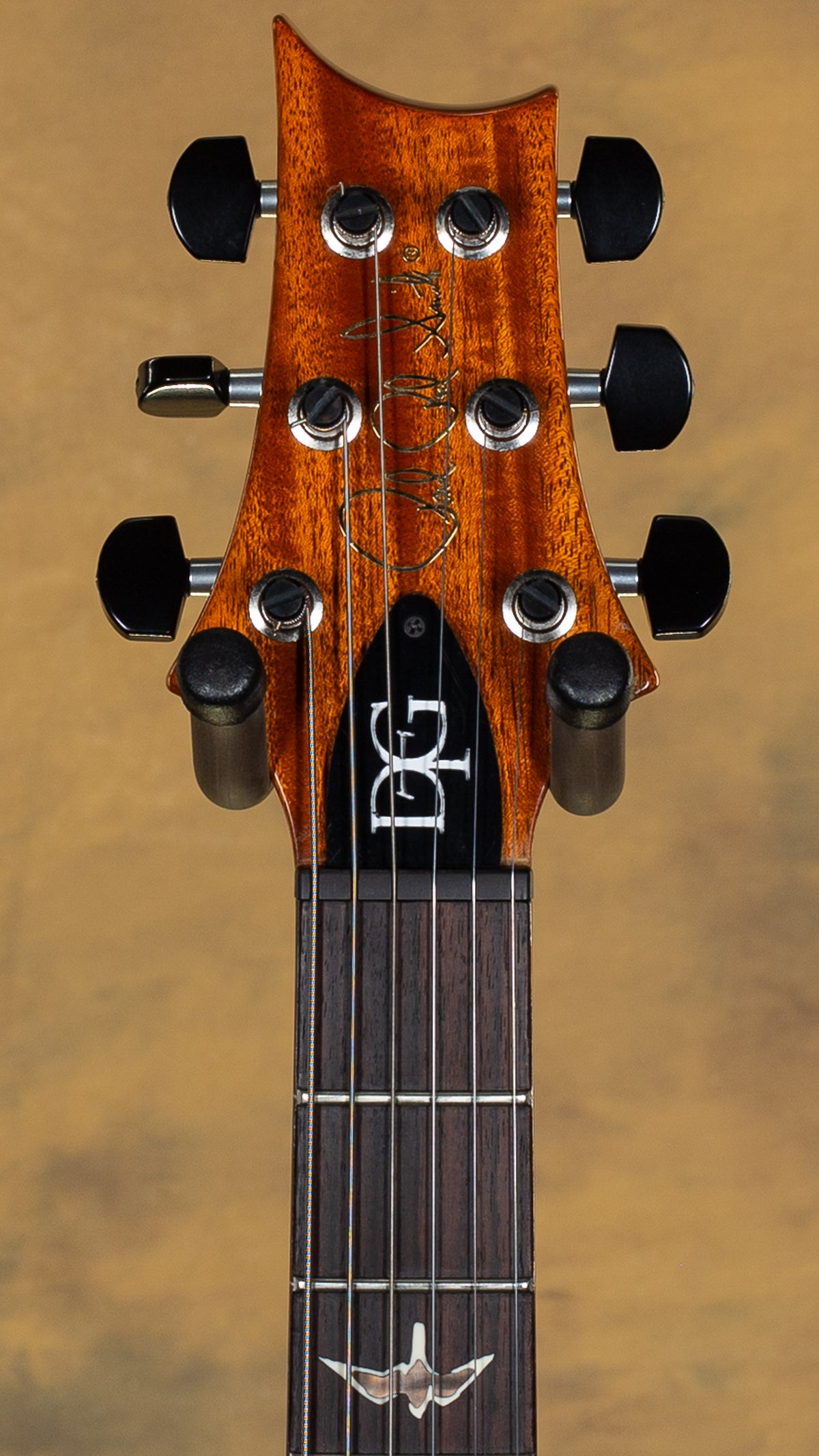 2012 PRS DGT Custom Color Blue Green Fade 10 Top Birds