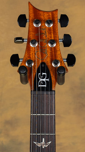 2012 PRS DGT Custom Color Blue Green Fade 10 Top Birds