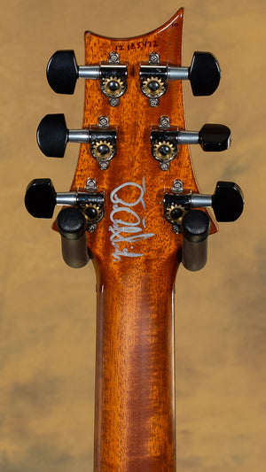 2012 PRS DGT Custom Color Blue Green Fade 10 Top Birds