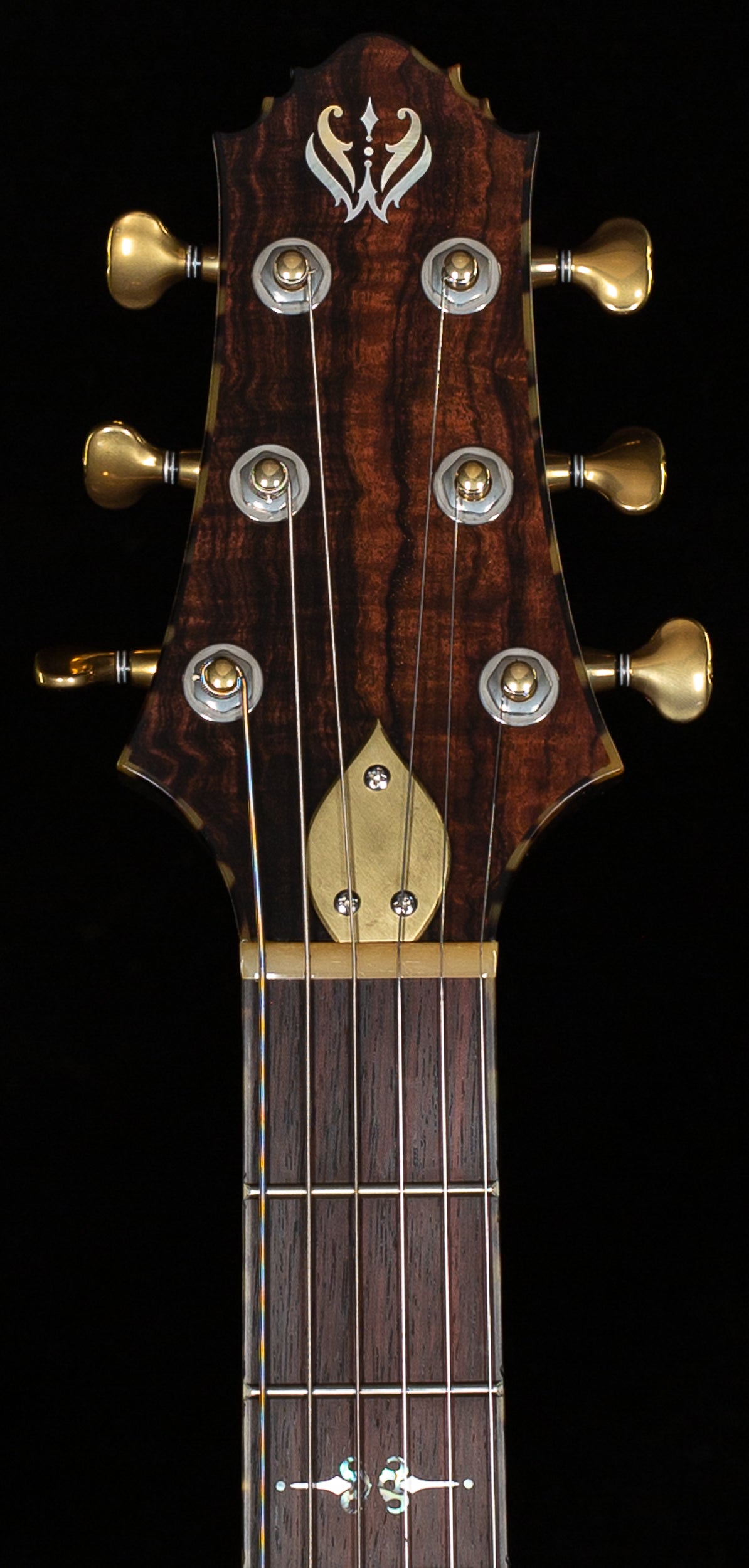 Scott Walker Custom Legacy Santa Cruz Hollowbody Natural Quilt (860)