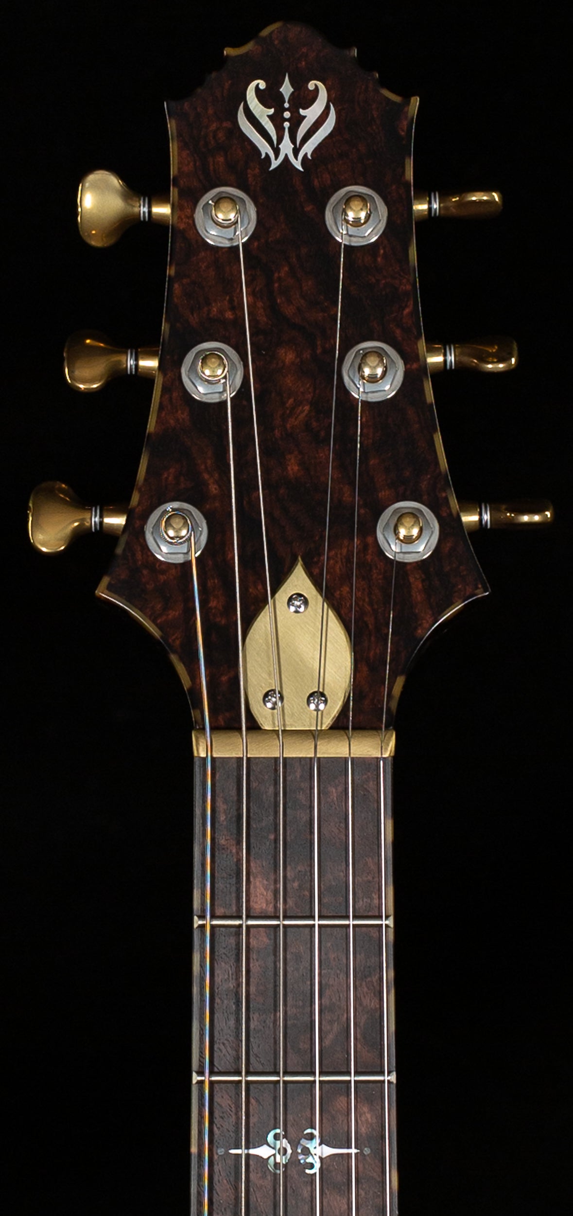 Scott Walker Custom Legacy Santa Cruz Hollowbody Rosewood Burl