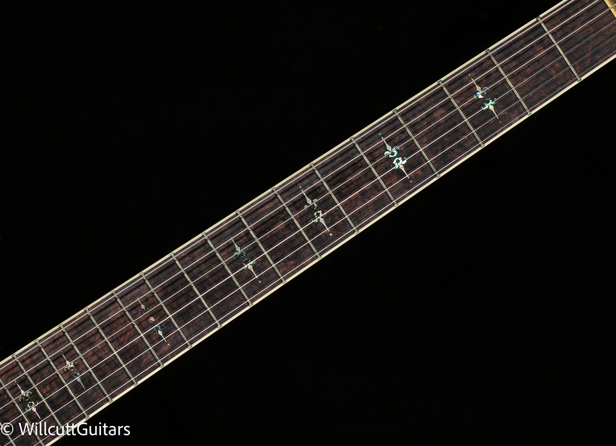 Scott Walker Custom Santa Cruz Legacy (901)