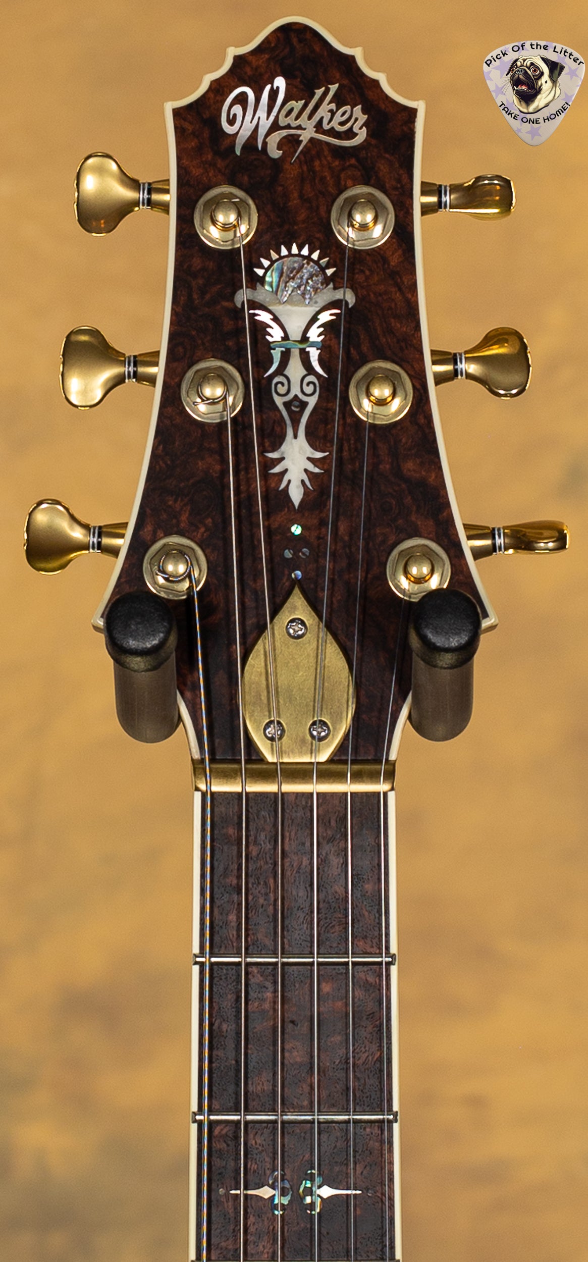 2023 Scott Walker Custom Santa Cruz Legacy