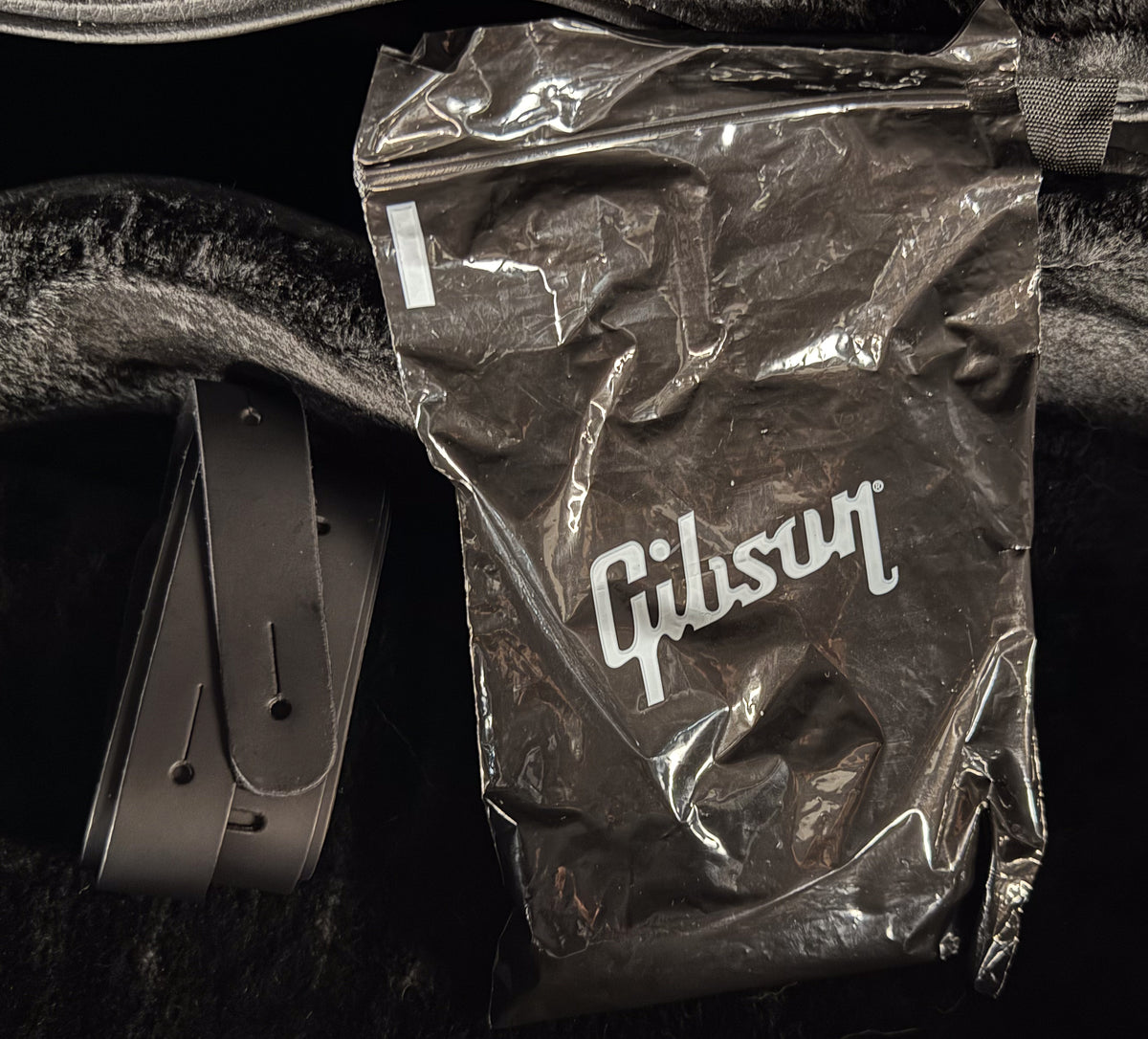 2022 Gibson Adam Jones Signature Les Paul Standard