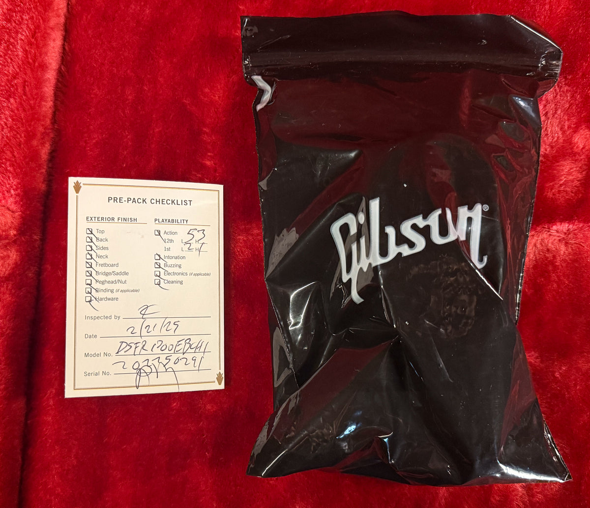 Gibson Firebird Platypus Ebony (291)