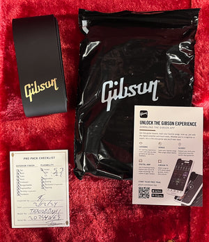 Gibson Theodore Standard Ebony (169)