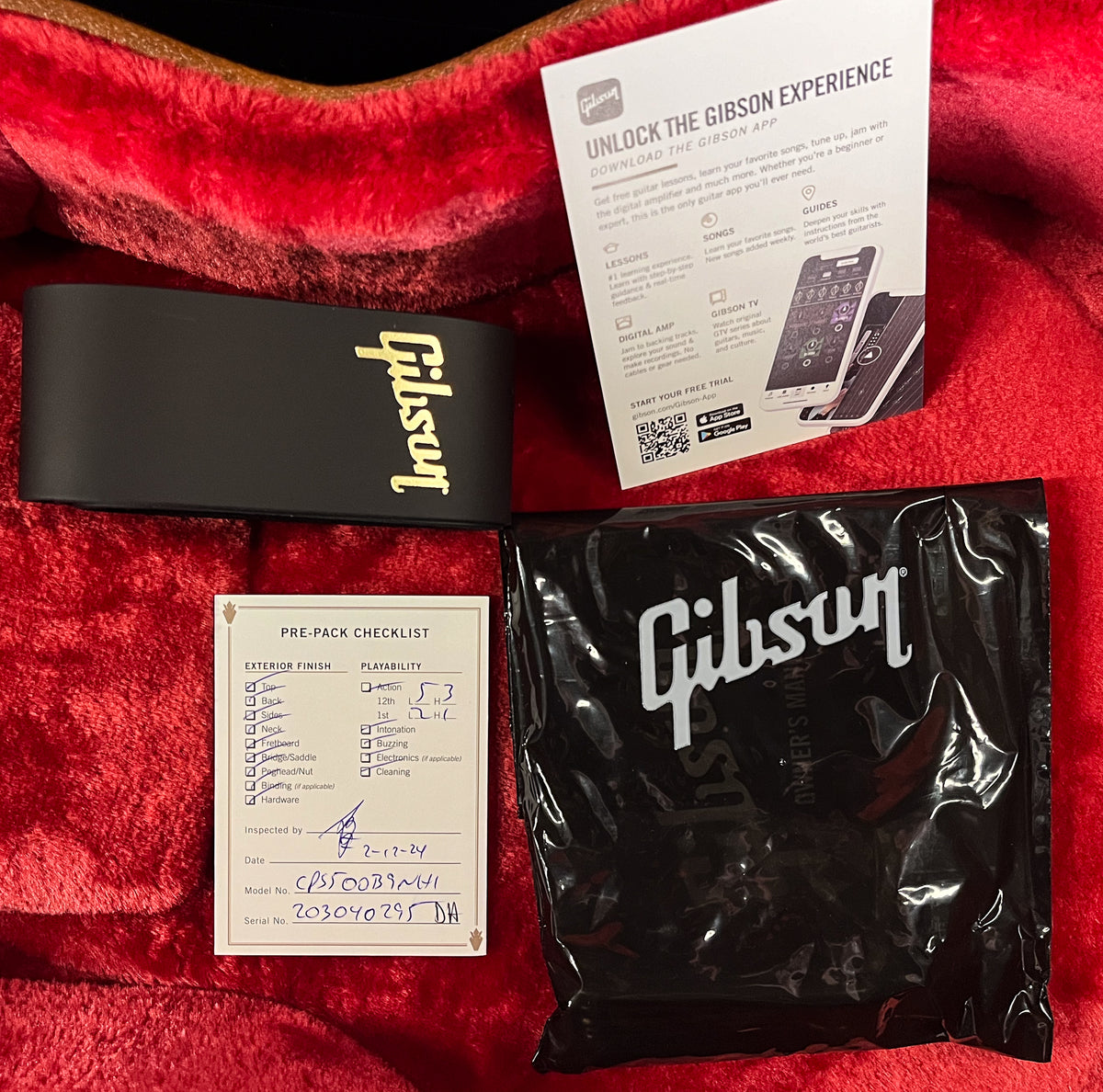 Gibson Les Paul Standard 50s Figured Top Blueberry Burst (295)