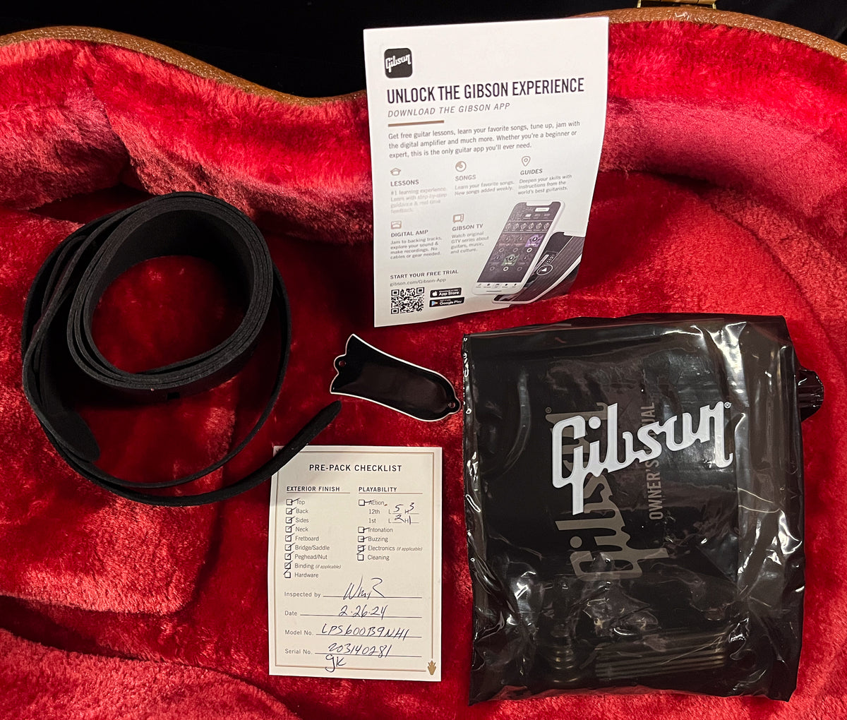 Gibson Les Paul Standard 60s Figured Top Blueberry Burst (281)