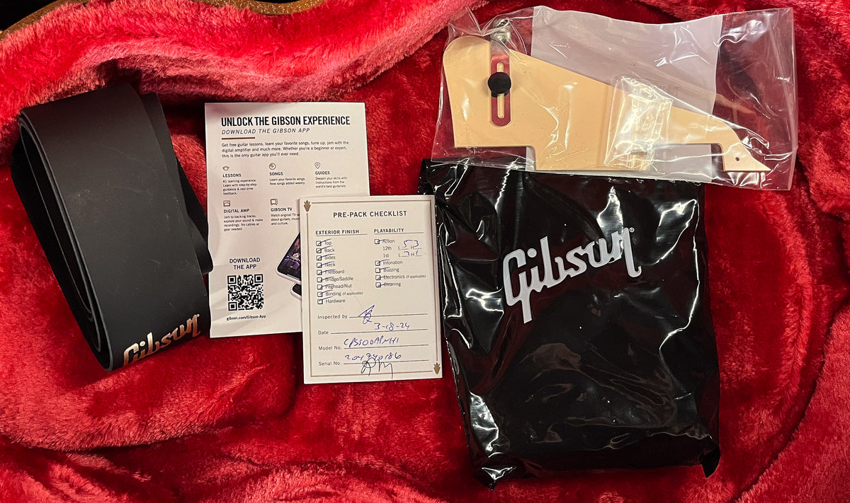 Gibson Slash Les Paul Standard Appetite Burst (186)