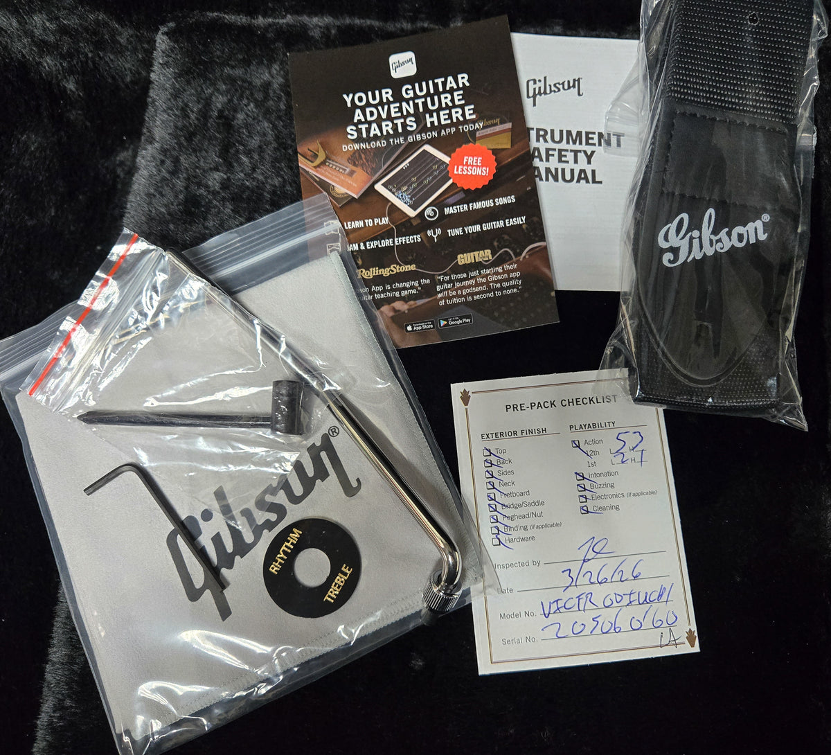 Gibson Victory Floyd Rose Iguana Burst (160)