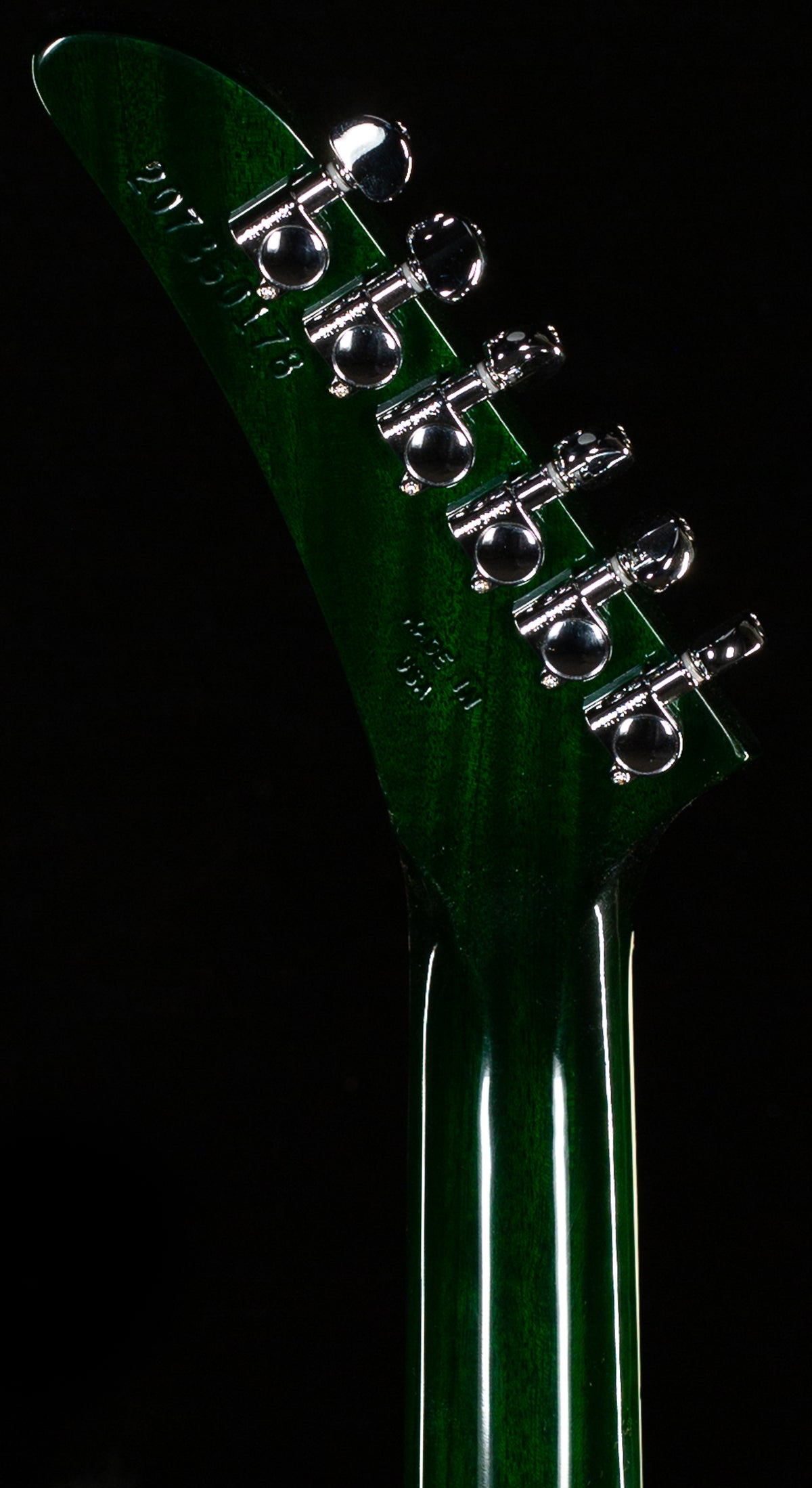 Gibson Victory Figured Top Iguana Burst (178)