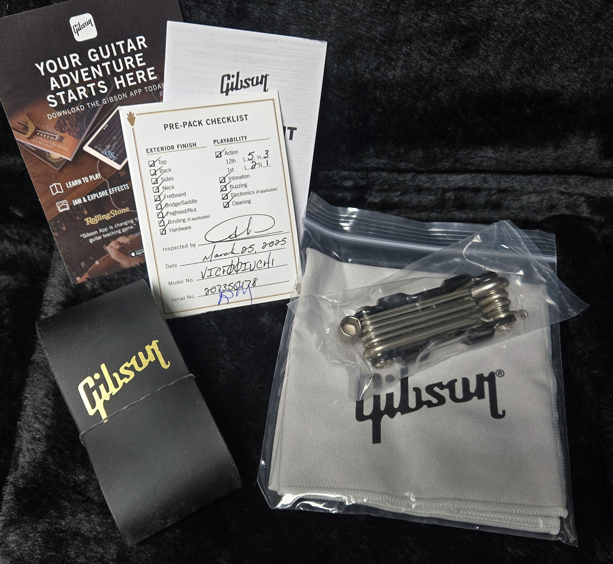 Gibson Victory Figured Top Iguana Burst (178)