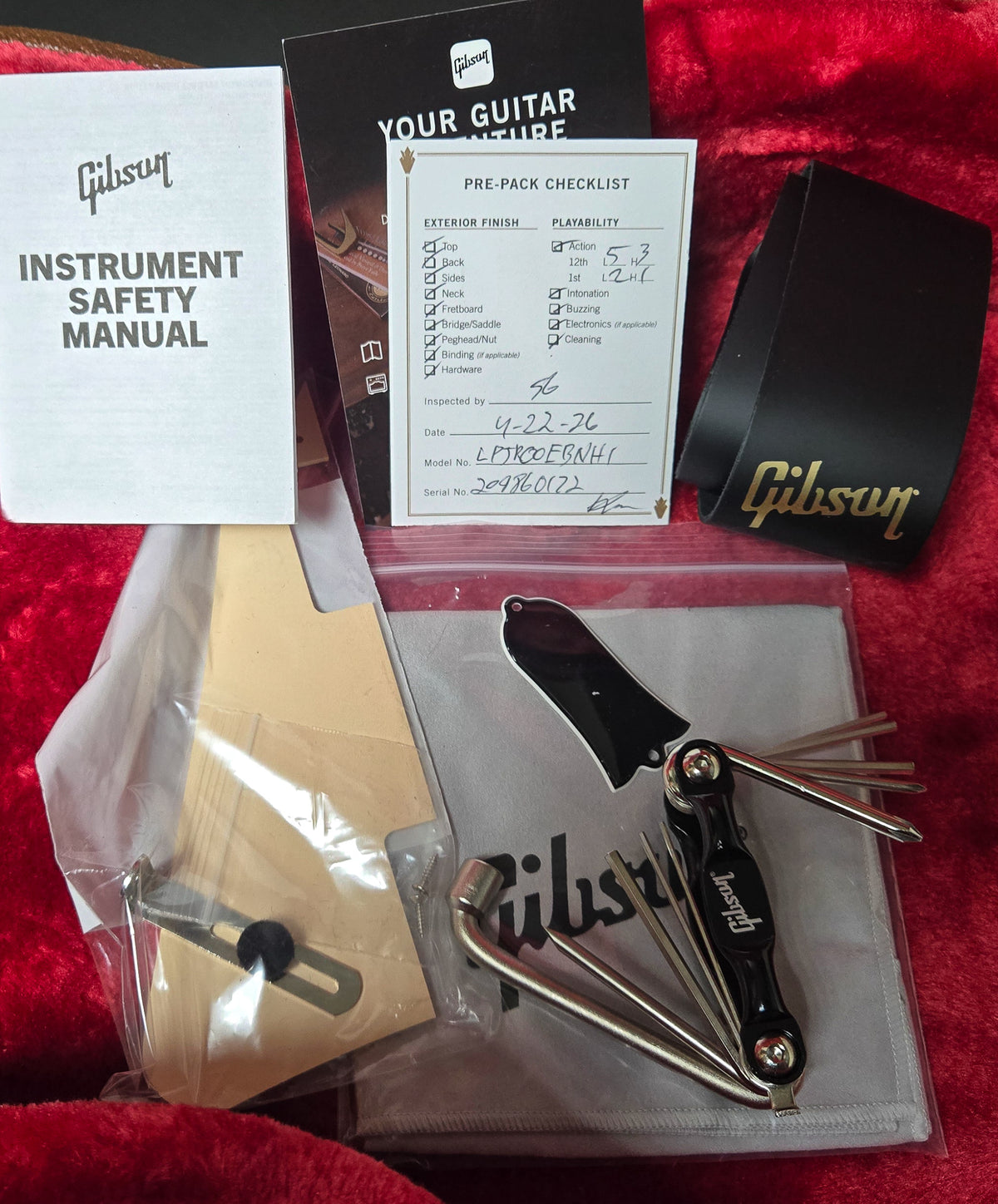 Gibson Les Paul Junior Ebony (172)